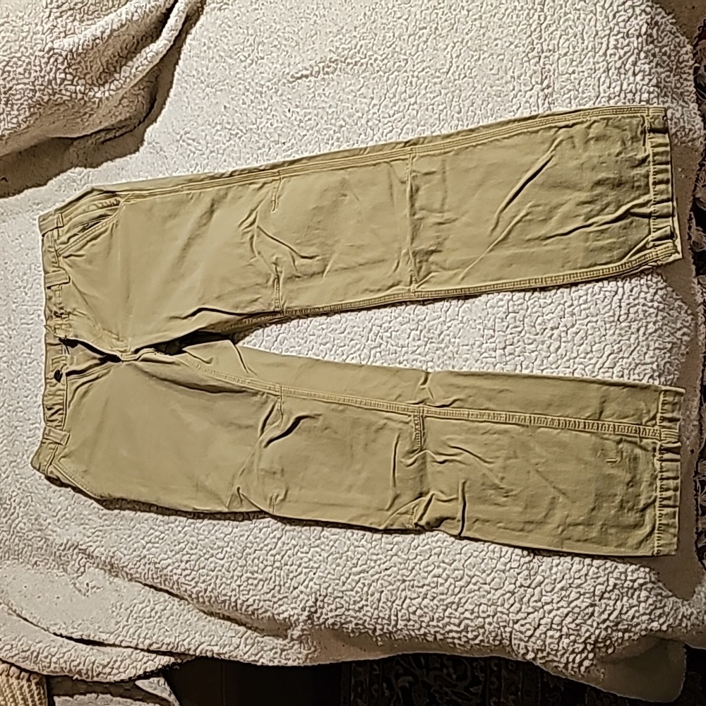 Carhartt pants
